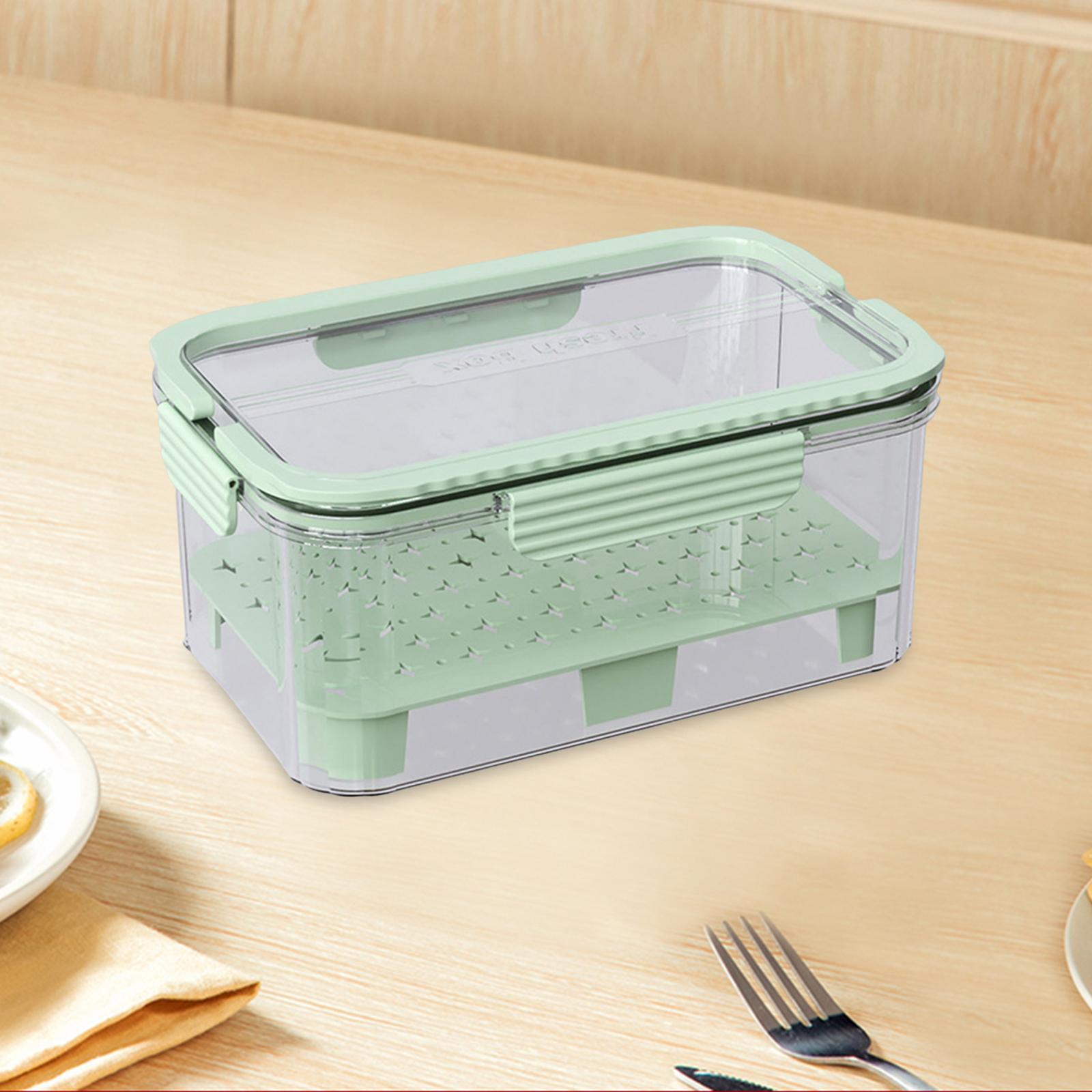 Food Snacks For Camping - 氷冷式キャンプ用食品容器 フルーツ保存容器 9.06x5.91x4.25インチ ポータブル密閉スナックボックス 冷蔵庫用食事用