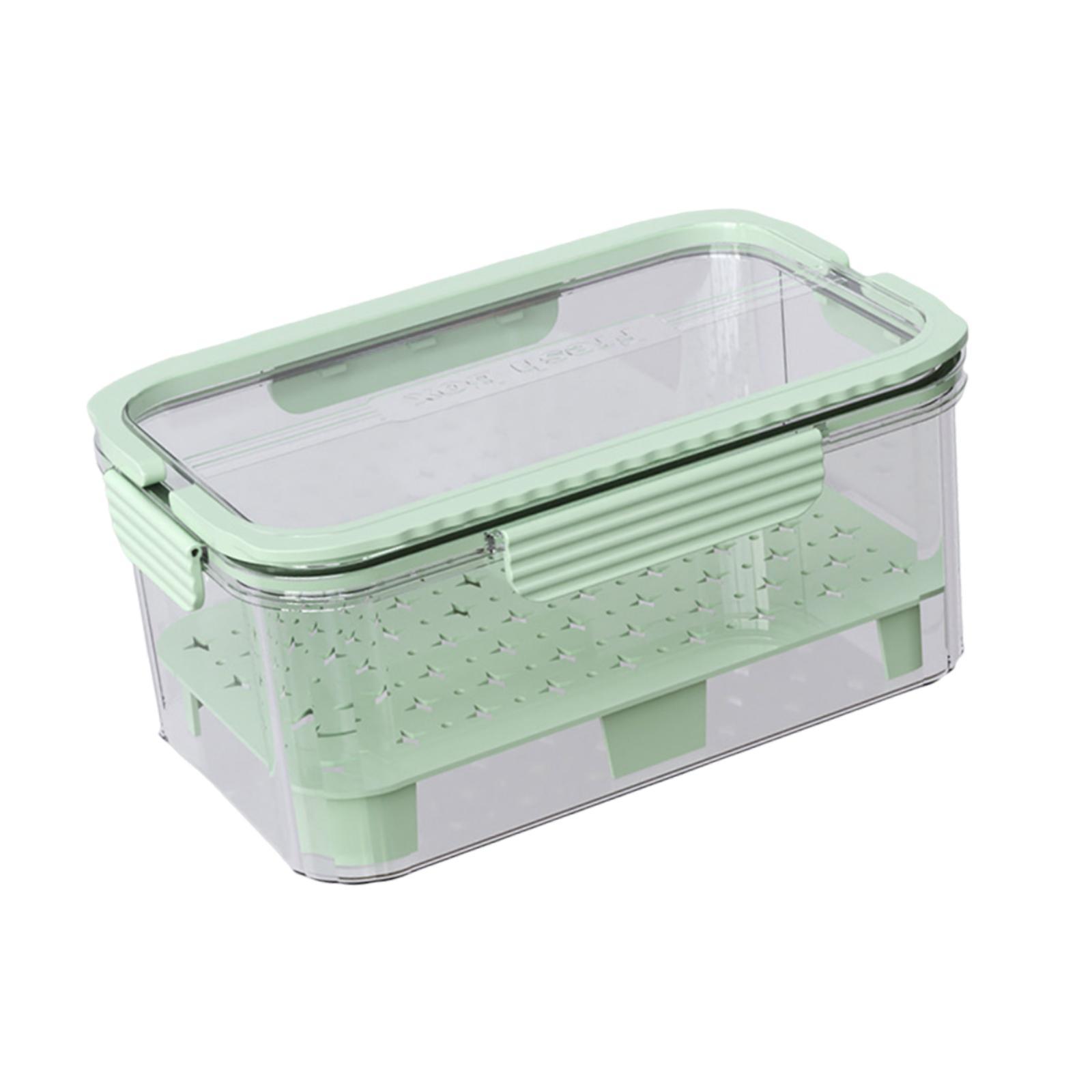 氷冷式キャンプ用食品容器 フルーツ保存容器 9.06x5.9 - Food Snacks For Camping のレビューと価格