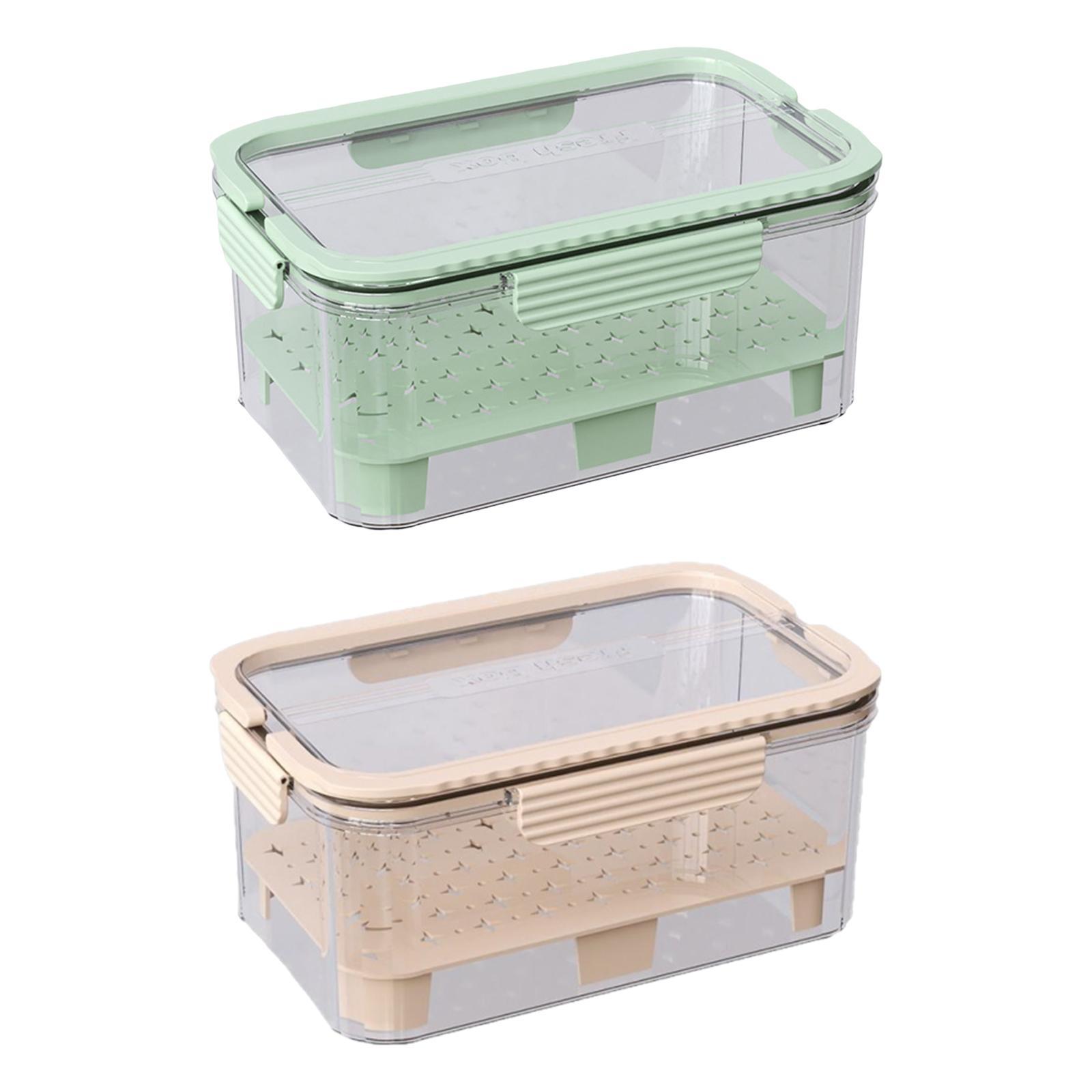 氷冷式キャンプ用食品容器 フルーツ保存容器 9.06x5.9 - Food Snacks For Camping のレビューと価格