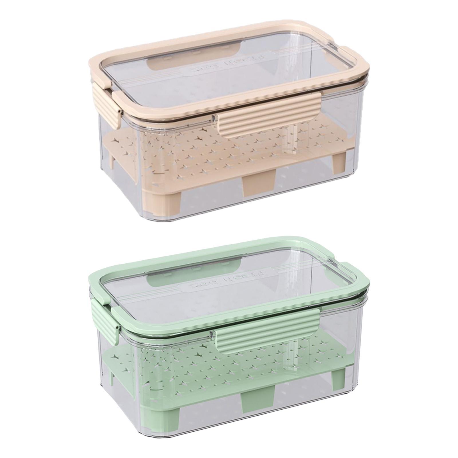 氷冷式キャンプ用食品容器 フルーツ保存容器 9.06x5.9 - Food Snacks For Camping のレビューと価格